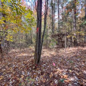 Photo #38 of Off Sarah Street , Bowling Green, VA 4.9 acres