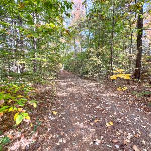 Photo #39 of Off Sarah Street , Bowling Green, VA 4.9 acres