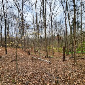 Photo #1 of Off Ebert Rd , Winston Salem, NC 8.8 acres