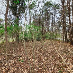 Photo #12 of Off Ebert Rd , Winston Salem, NC 8.8 acres