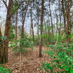 Photo #13 of Off Ebert Rd , Winston Salem, NC 8.8 acres