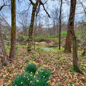 Photo #15 of Off Ebert Rd , Winston Salem, NC 8.8 acres