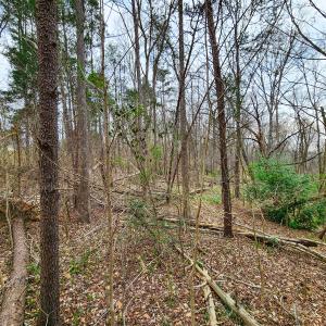 Photo #18 of Off Ebert Rd , Winston Salem, NC 8.8 acres