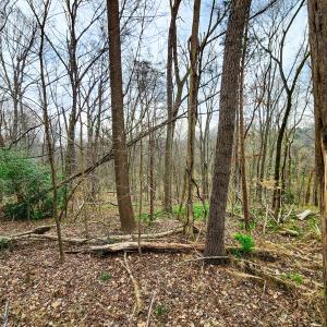 Photo #19 of Off Ebert Rd , Winston Salem, NC 8.8 acres