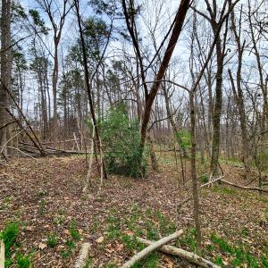Photo #20 of Off Ebert Rd , Winston Salem, NC 8.8 acres