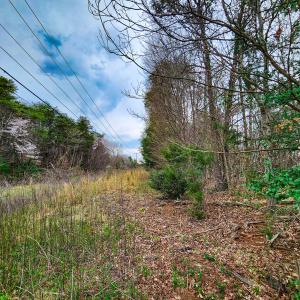 Photo #3 of Off Ebert Rd , Winston Salem, NC 8.8 acres