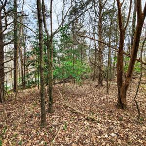 Photo #5 of Off Ebert Rd , Winston Salem, NC 8.8 acres