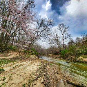 Photo #7 of Off Ebert Rd , Winston Salem, NC 8.8 acres