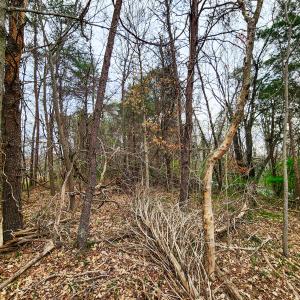 Photo #9 of Off Ebert Rd , Winston Salem, NC 8.8 acres