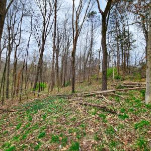 Photo #21 of Off Ebert Rd , Winston Salem, NC 8.8 acres