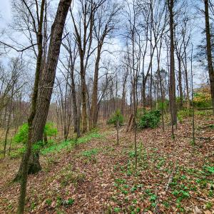 Photo #22 of Off Ebert Rd , Winston Salem, NC 8.8 acres