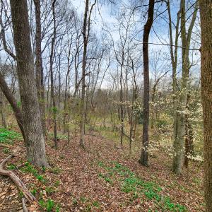 Photo #23 of Off Ebert Rd , Winston Salem, NC 8.8 acres
