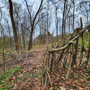 Photo #25 of Off Ebert Rd , Winston Salem, NC 8.8 acres