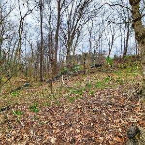 Photo #26 of Off Ebert Rd , Winston Salem, NC 8.8 acres