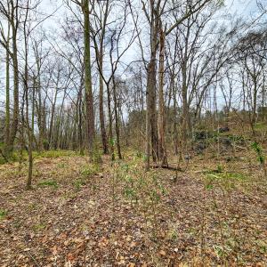 Photo #27 of Off Ebert Rd , Winston Salem, NC 8.8 acres