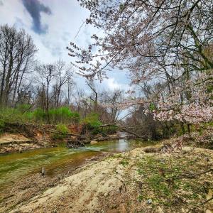 Photo #31 of Off Ebert Rd , Winston Salem, NC 8.8 acres