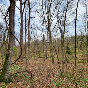 Photo #34 of Off Ebert Rd , Winston Salem, NC 8.8 acres