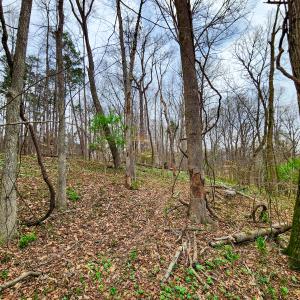 Photo #35 of Off Ebert Rd , Winston Salem, NC 8.8 acres