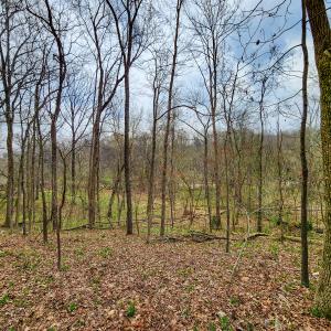 Photo #36 of Off Ebert Rd , Winston Salem, NC 8.8 acres