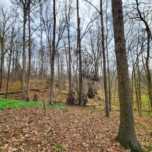 Photo #37 of Off Ebert Rd , Winston Salem, NC 8.8 acres