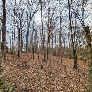 Photo #39 of Off Ebert Rd , Winston Salem, NC 8.8 acres