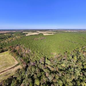 Photo #16 of SOLD property in Off Veaches Mill Road, Warsaw, NC 16.7 acres