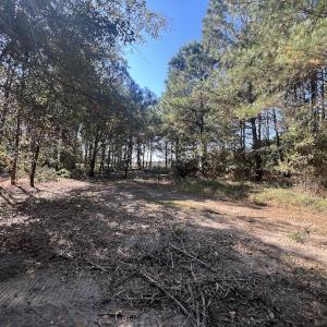 Photo #18 of SOLD property in Off Veaches Mill Road, Warsaw, NC 16.7 acres