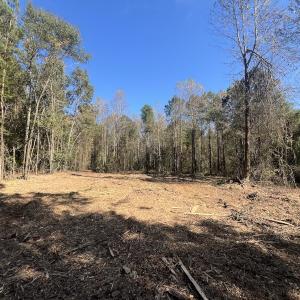 Photo #20 of SOLD property in Off Veaches Mill Road, Warsaw, NC 16.7 acres
