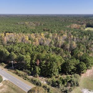 Photo #3 of SOLD property in Off Veaches Mill Road, Warsaw, NC 16.7 acres