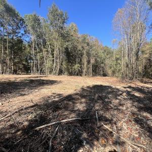 Photo #21 of SOLD property in Off Veaches Mill Road, Warsaw, NC 16.7 acres