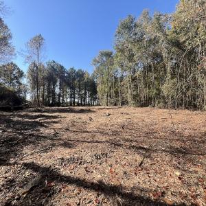 Photo #22 of SOLD property in Off Veaches Mill Road, Warsaw, NC 16.7 acres
