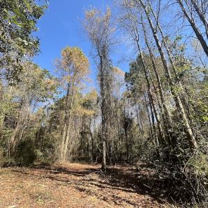 Photo #23 of SOLD property in Off Veaches Mill Road, Warsaw, NC 16.7 acres