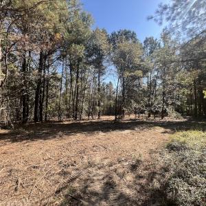 Photo #25 of SOLD property in Off Veaches Mill Road, Warsaw, NC 16.7 acres