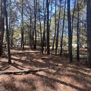 Photo #29 of SOLD property in Off Veaches Mill Road, Warsaw, NC 16.7 acres