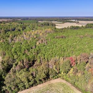 Photo #4 of SOLD property in Off Veaches Mill Road, Warsaw, NC 16.7 acres