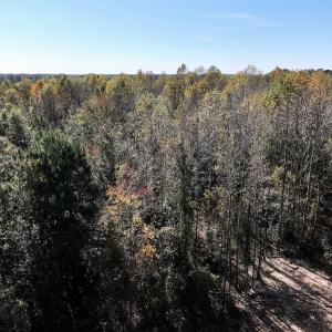 Photo #31 of SOLD property in Off Veaches Mill Road, Warsaw, NC 16.7 acres