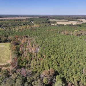 Photo #5 of SOLD property in Off Veaches Mill Road, Warsaw, NC 16.7 acres