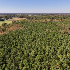 Photo #6 of SOLD property in Off Veaches Mill Road, Warsaw, NC 16.7 acres