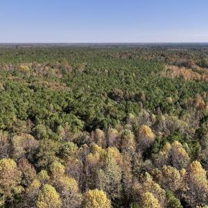 Photo #8 of SOLD property in Off Veaches Mill Road, Warsaw, NC 16.7 acres