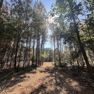 Photo #2 of SOLD property in Off Veaches Mill Road, Warsaw, NC 19.0 acres