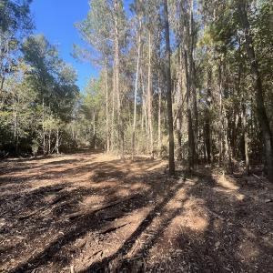Photo #11 of SOLD property in Off Veaches Mill Road, Warsaw, NC 19.0 acres