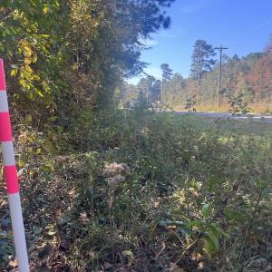 Photo #12 of SOLD property in Off Veaches Mill Road, Warsaw, NC 19.0 acres