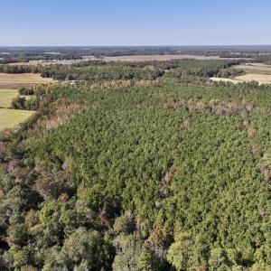 Photo #16 of SOLD property in Off Veaches Mill Road, Warsaw, NC 19.0 acres