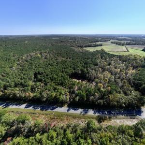 Photo #18 of SOLD property in Off Veaches Mill Road, Warsaw, NC 19.0 acres