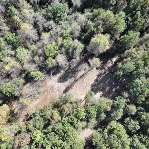Photo #19 of SOLD property in Off Veaches Mill Road, Warsaw, NC 19.0 acres