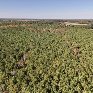 Photo #20 of SOLD property in Off Veaches Mill Road, Warsaw, NC 19.0 acres
