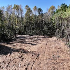 Photo #21 of SOLD property in Off Veaches Mill Road, Warsaw, NC 19.0 acres