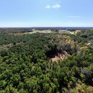 Photo #22 of SOLD property in Off Veaches Mill Road, Warsaw, NC 19.0 acres