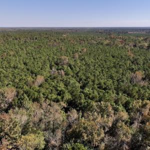 Photo #24 of SOLD property in Off Veaches Mill Road, Warsaw, NC 19.0 acres