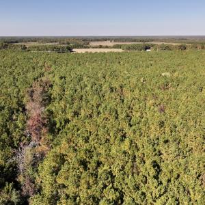 Photo #25 of SOLD property in Off Veaches Mill Road, Warsaw, NC 19.0 acres